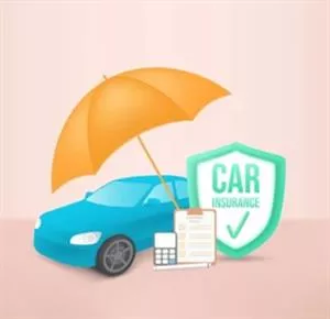 SELF-DRIVE RENTAL POLICY